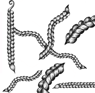 HA-hair-afro-gäng-shadingwannadoz-(2a).png