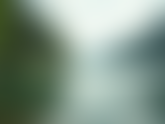 The Power of Mindfulness in Everyday Life