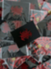 Pin Metalico