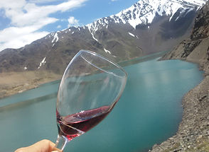 Imagem de uma taça de vinho e ao fundo montanhas com geleiras 