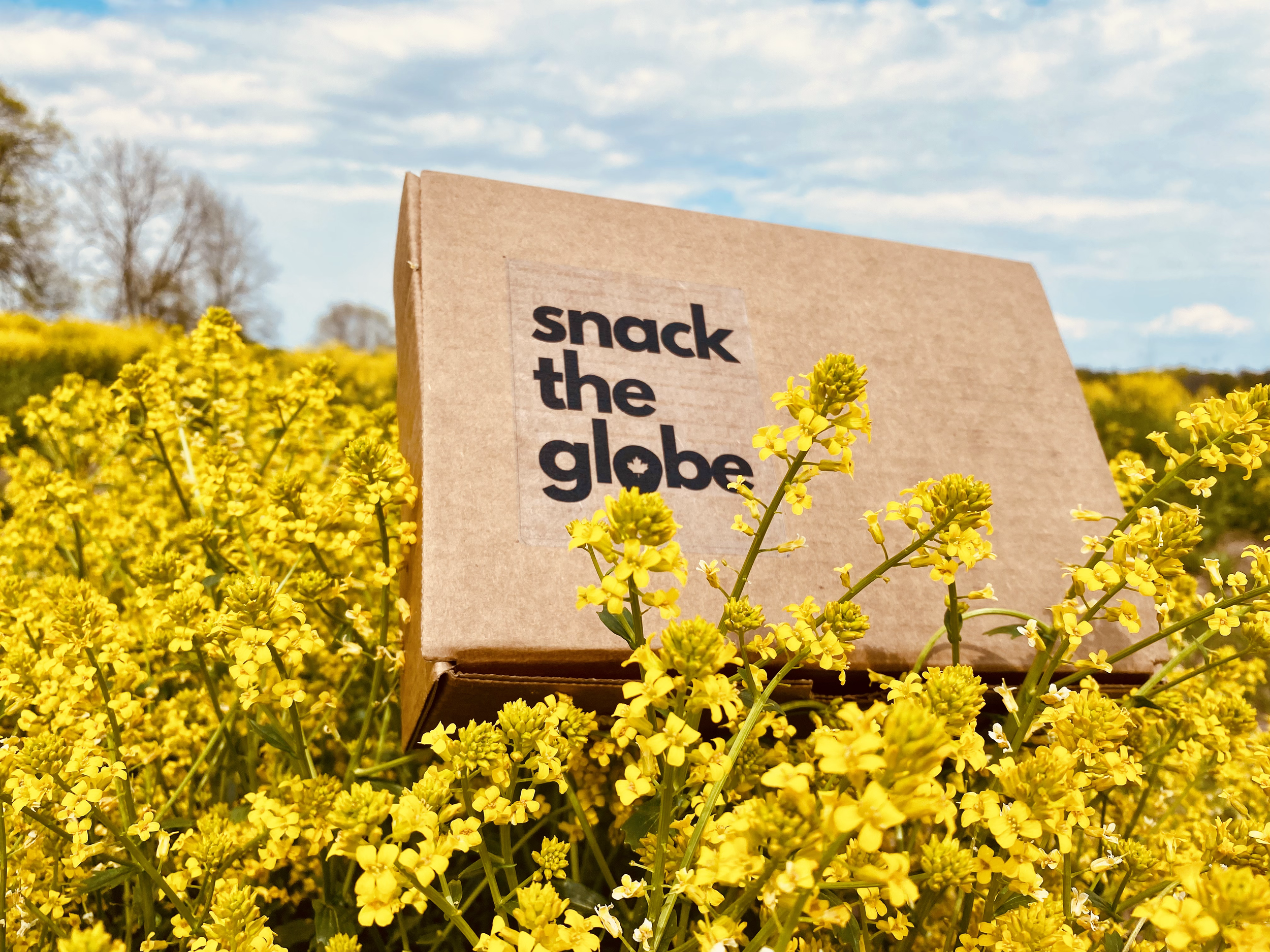 Snack the Globe