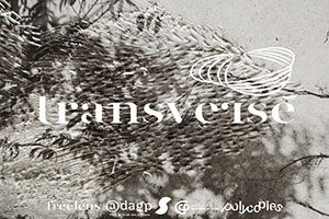 visueltransverse2023-copie_300px.jpg
