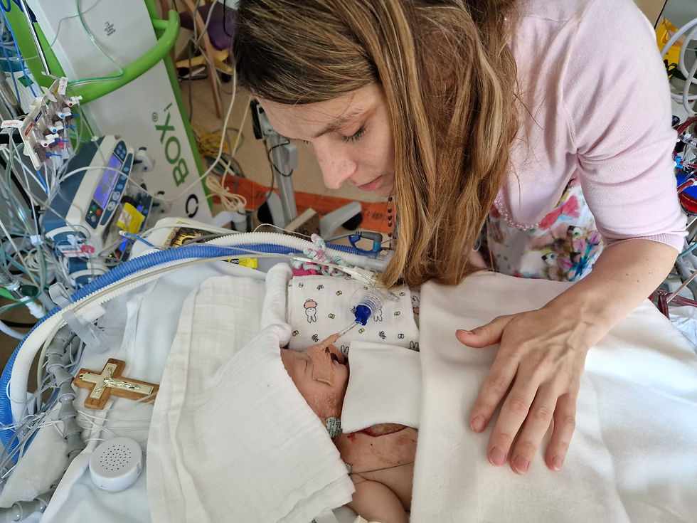 0cda24ff-f40f-4621-b79e-ea15e64b7dda