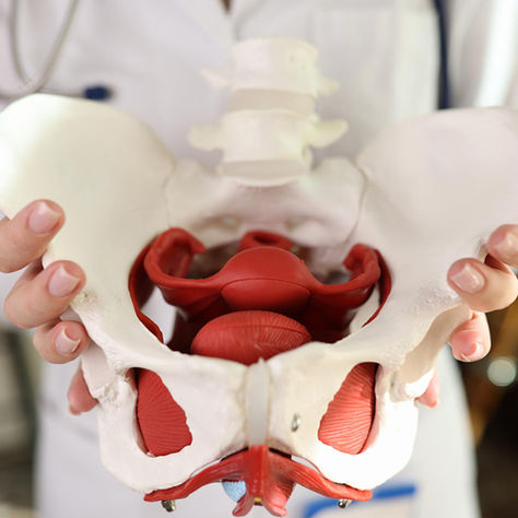 How to Tell if Pelvic Floor is Tight or Weak
