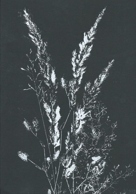 Akryl, monochrom, Katarzyna Pasiak