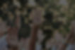 Hands Up_edited_edited.jpg