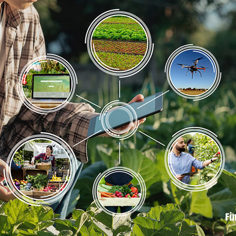 As grandes tendências do setor agro-alimentar