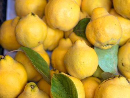 Loddington Farm quinces