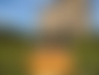 Ragstone Ridge Wines