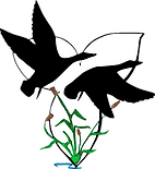 20241217175811_logo_noback.png
