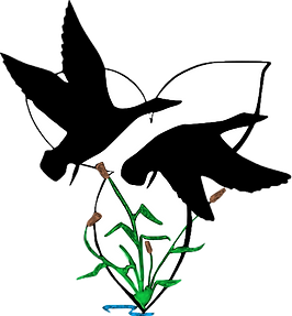 LOGO_noback.png