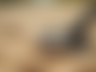 Dedektör Kullanımı: Hobi Kullanıcıları İçin Kapsamlı Bir Kılavuz