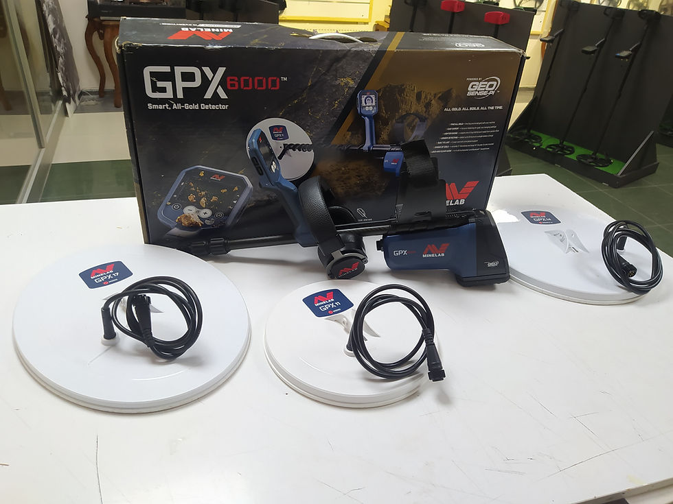 Küçük resim: MİNELAB GPX 6000