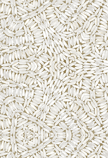 Arroz Bomba WHITE/BROWN - Large
