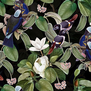 Exotic Blue Birds And Magnolia Garden Night