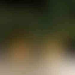 Kleurtrends 2024 voor je interieur | WANDD