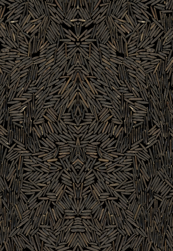 Forbidden Rice - BROWN - Small