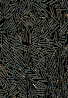Forbidden Rice - BLACK - Large