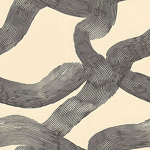 Soma Charcoal