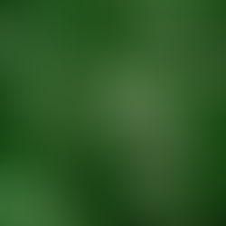Kleurtrend 2024 | Go Green | WANDD