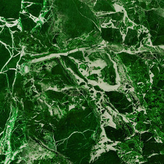 Kleurtrend 2024 | Go Green | WANDD