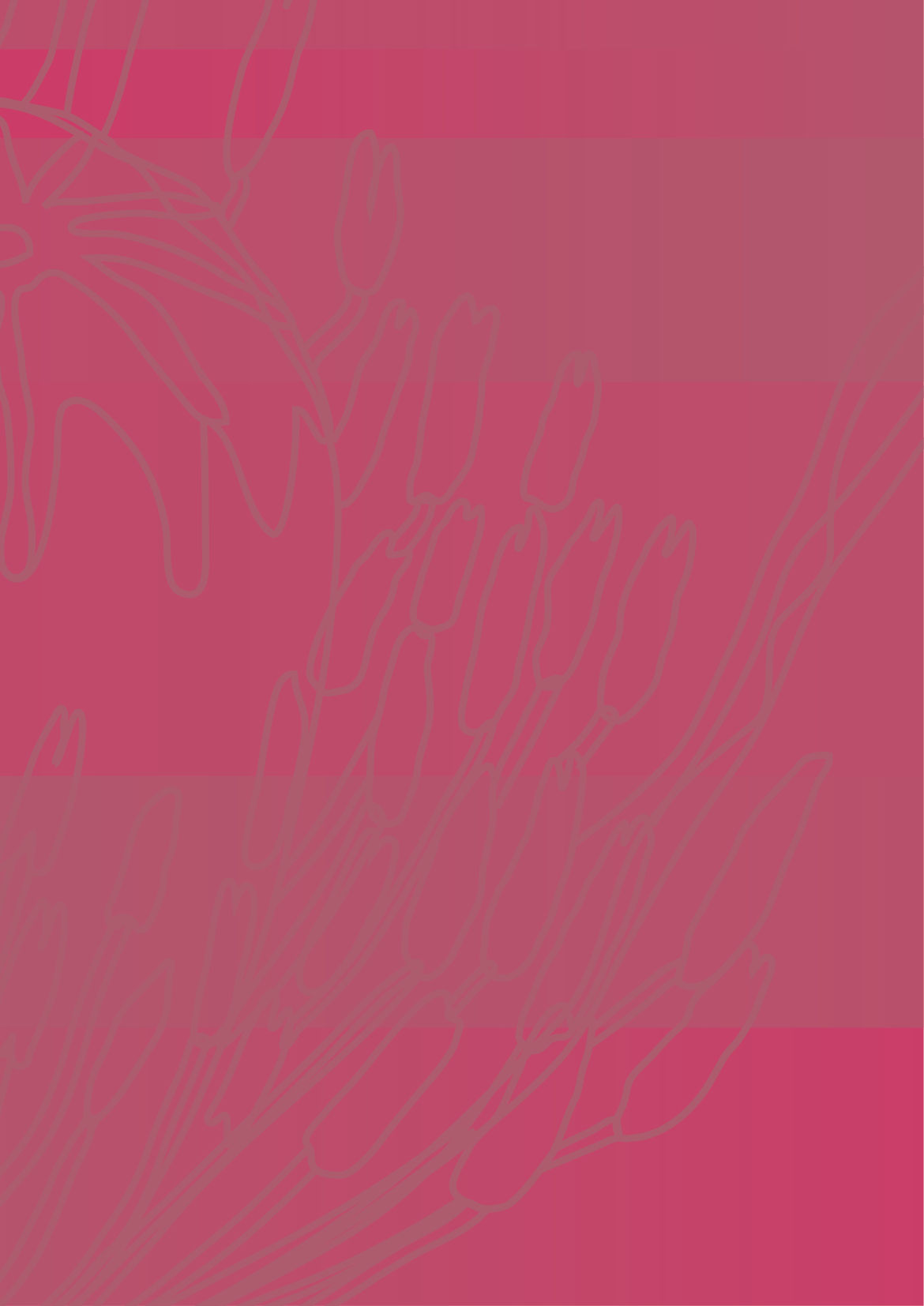 Sample - Foggy Poppy Raspberry rose