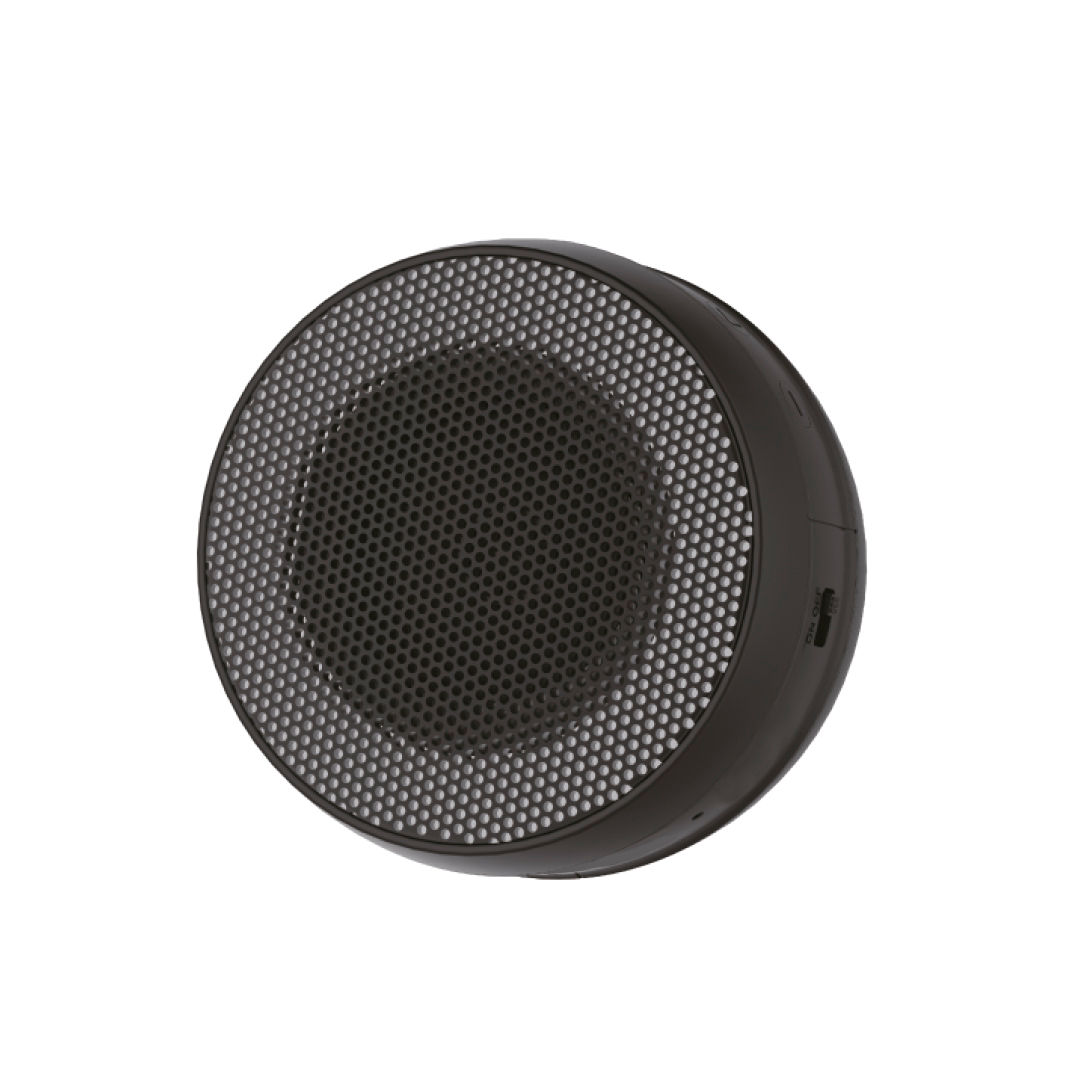 Parlante Inalambrico Soul xs 10