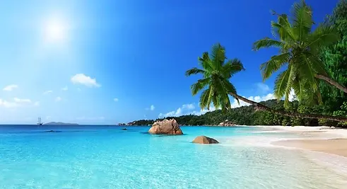 malindi-bg2.webp