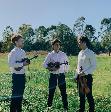 Lynch Brothers Trio, Violin, Music, Quartet, Brisbane