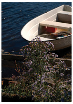 08 (1)