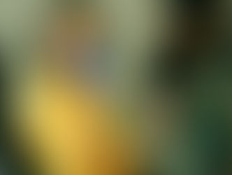 Interview op Radio 1. Culture Club Zomer met Annemie Peeters