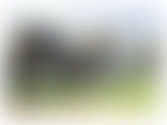 Inspiratiebrief lente 2021