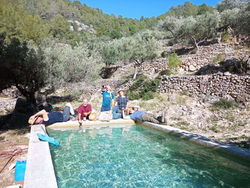 2a32327f-9c91-47ea-9b4e-797ddbf5f653