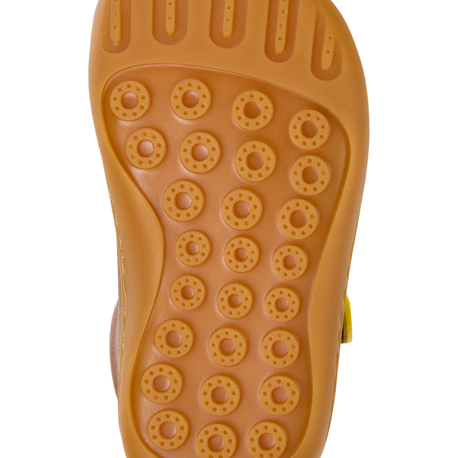 Sarda Igar(Millo)/Path Ry FW Abeja