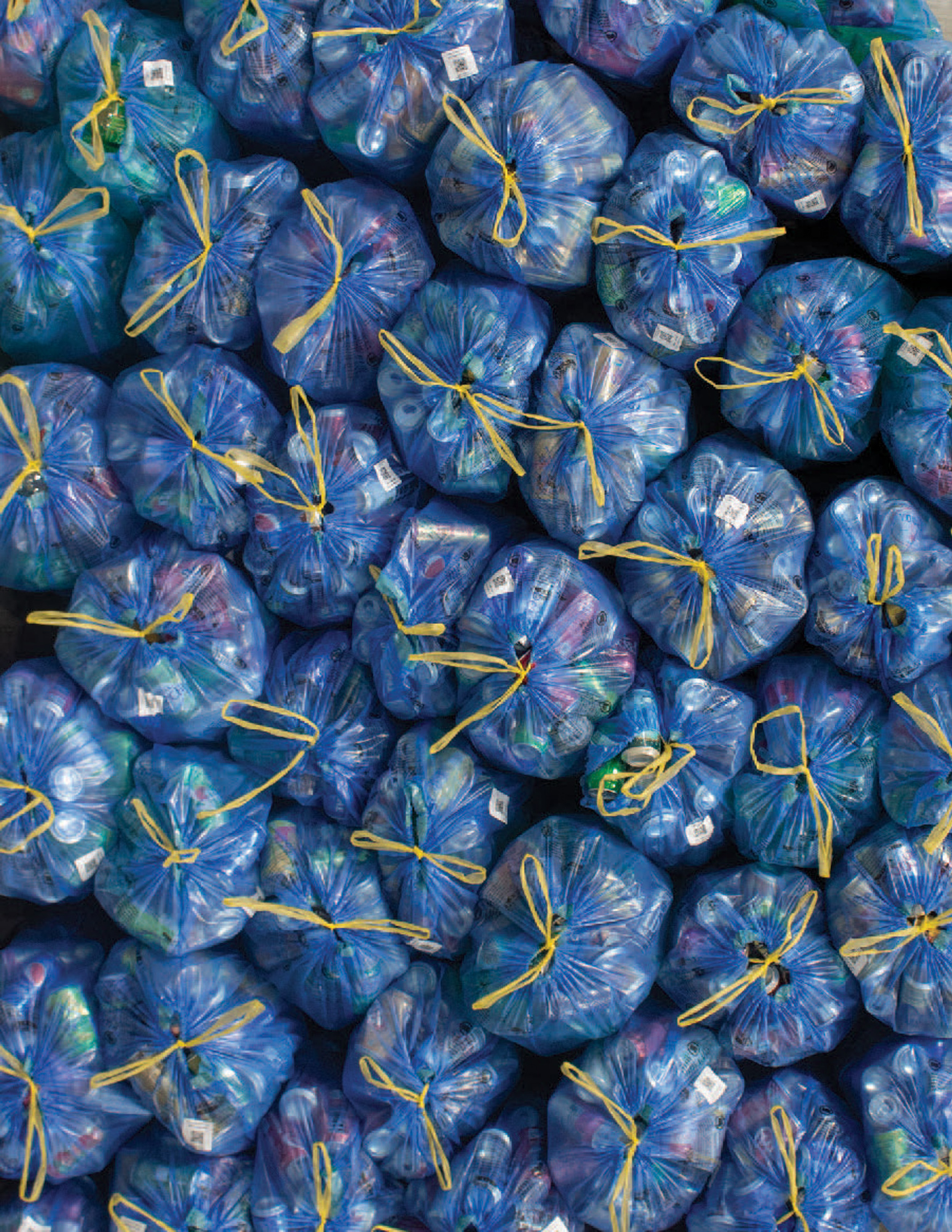 Blue Bag Routine Blue Bag Program at PRCCO: Help Support Local Families in Need