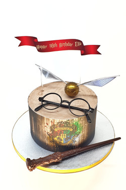 Rustic Harry Potter