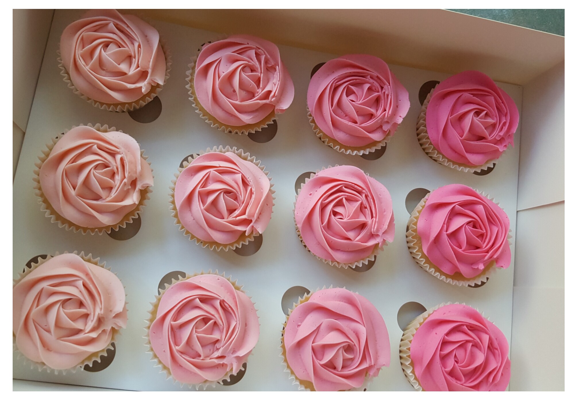 Pink Ombre