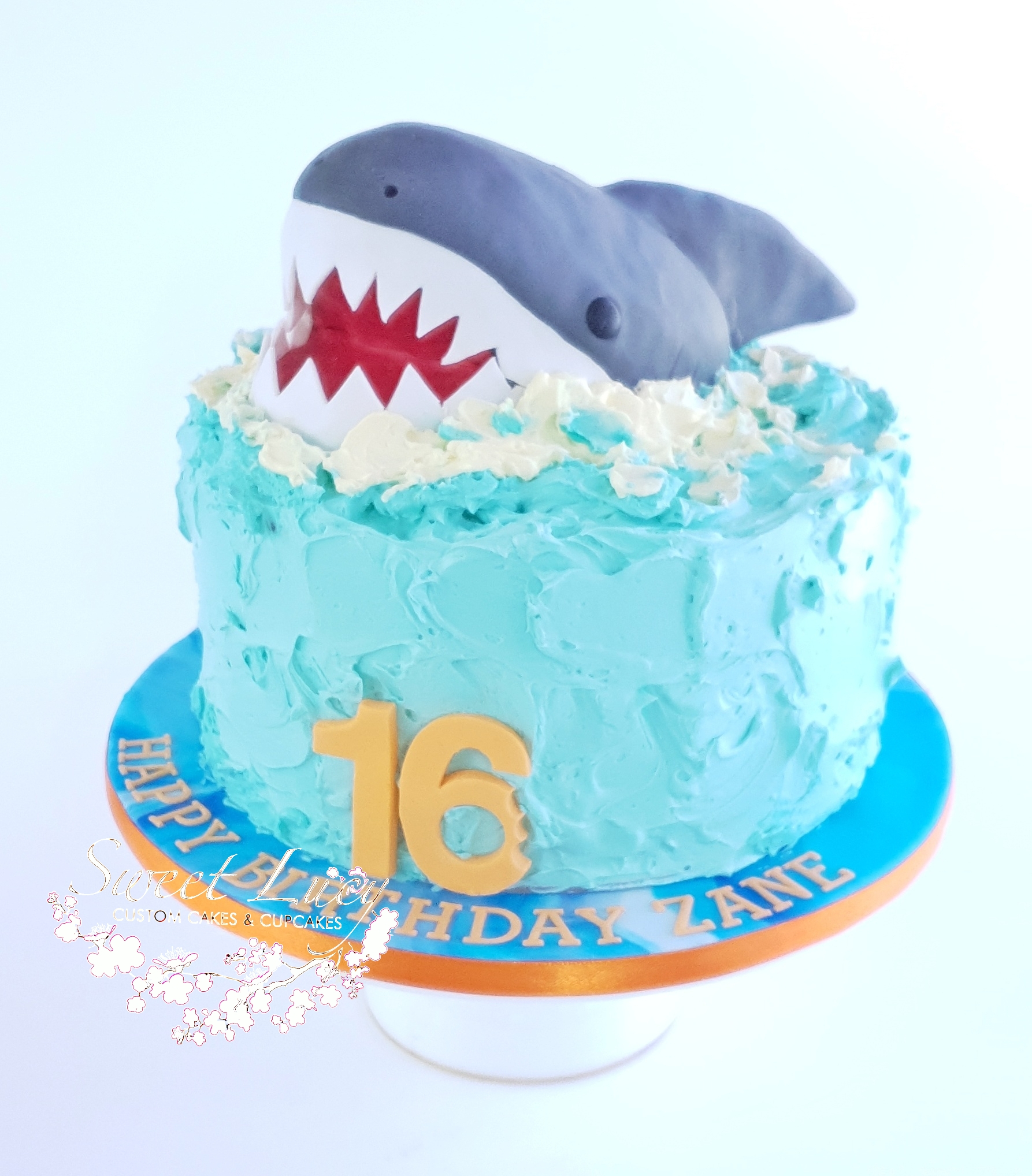 Shark Attack