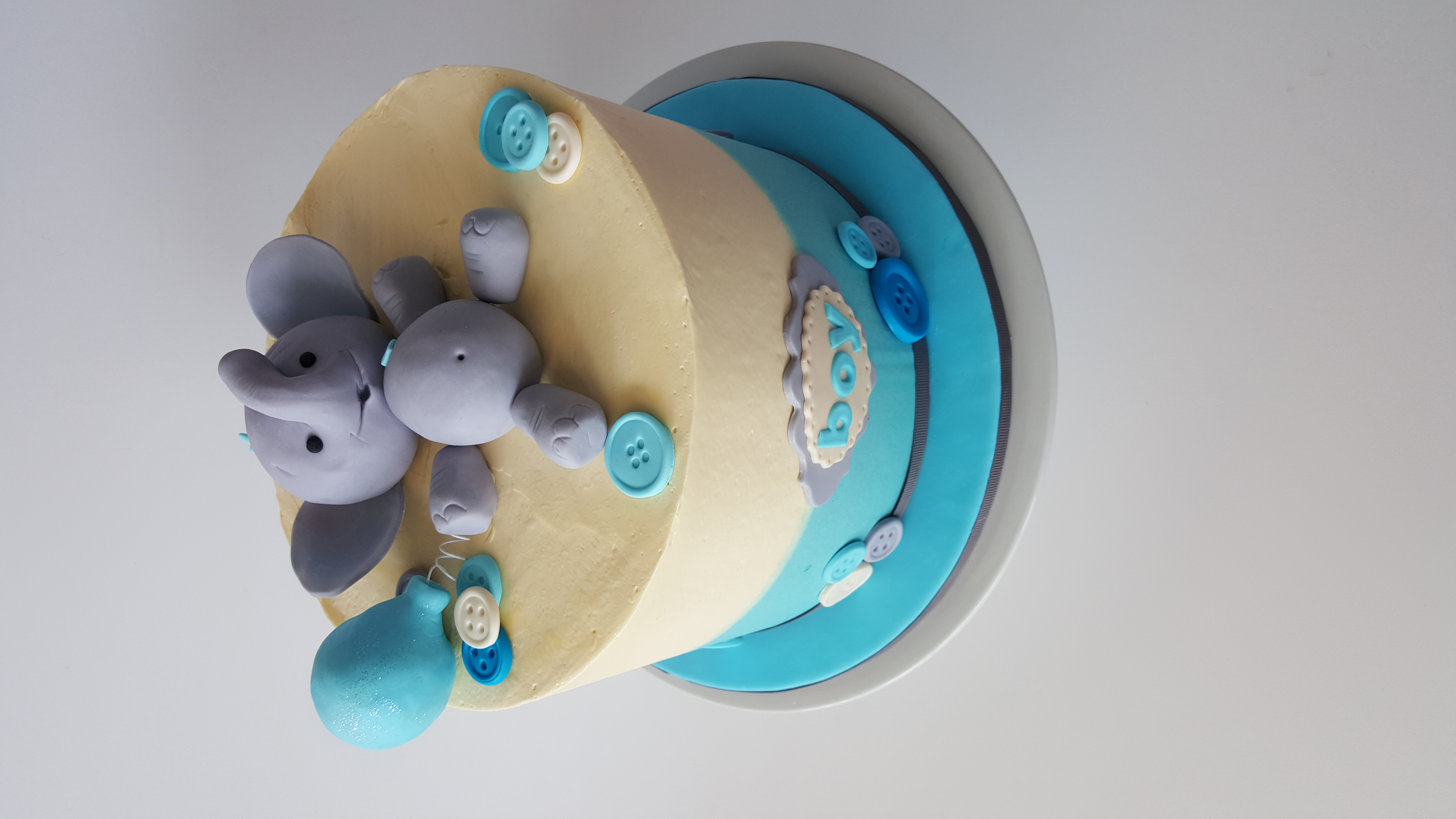 Elephant & Buttons
