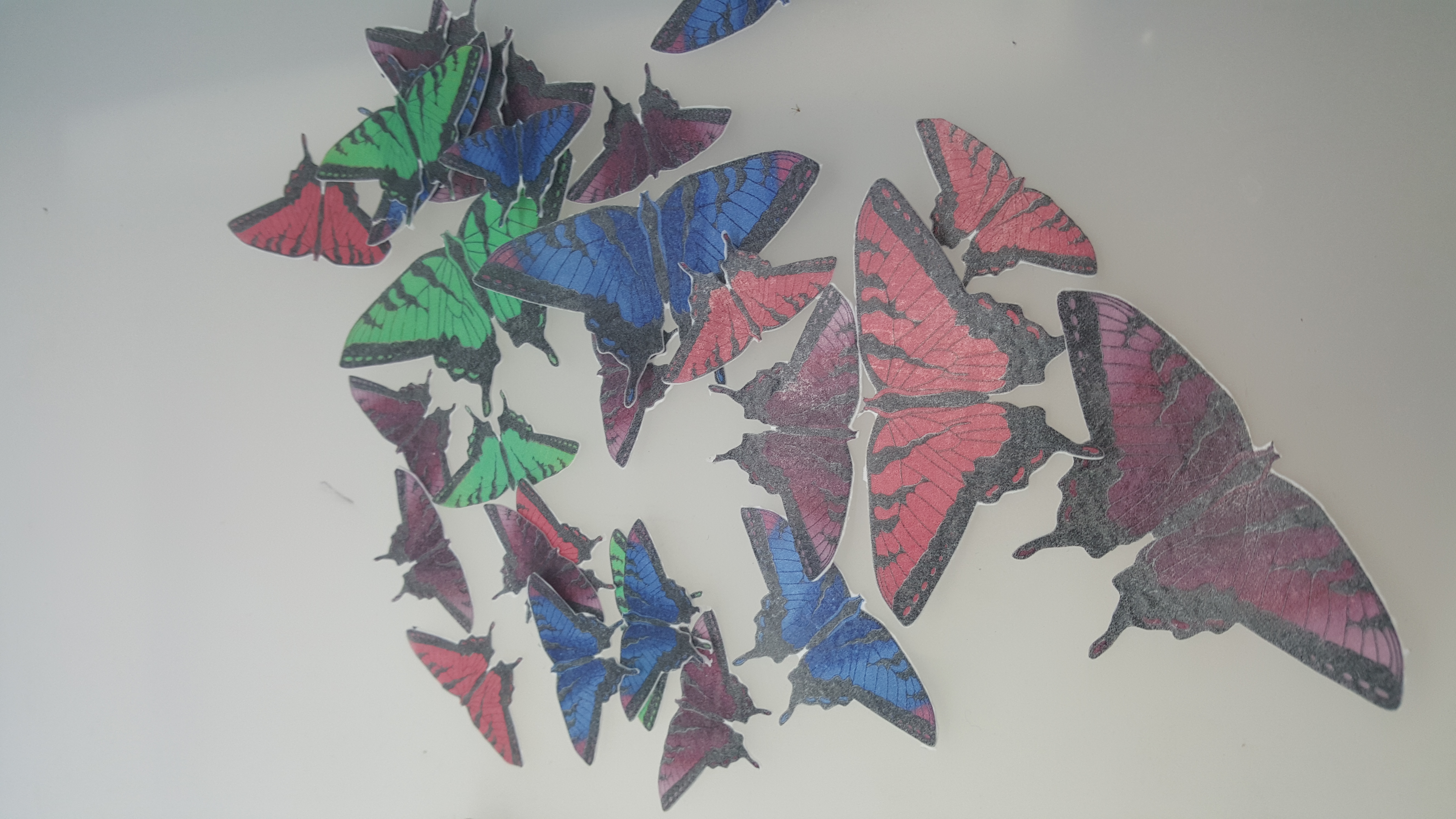 Butterflies
