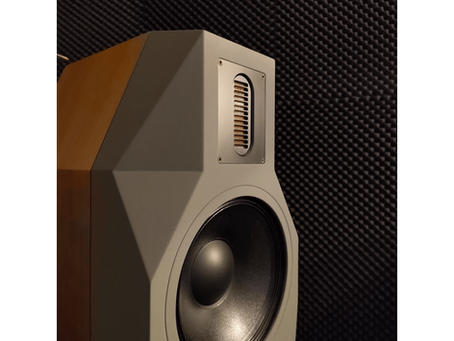 Danish review of the Borg