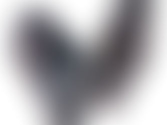 Fidelity review of the FinkTeam Borg