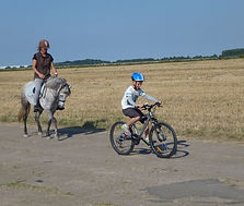 poney enfant vélo