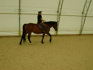 What a nice looking pair, so relaxed and focused.