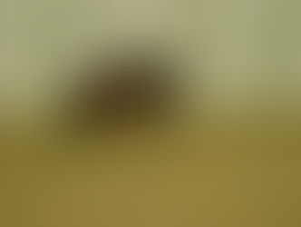 What a nice looking pair, so relaxed and focused.