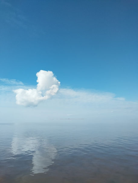 wolk_edited.jpg