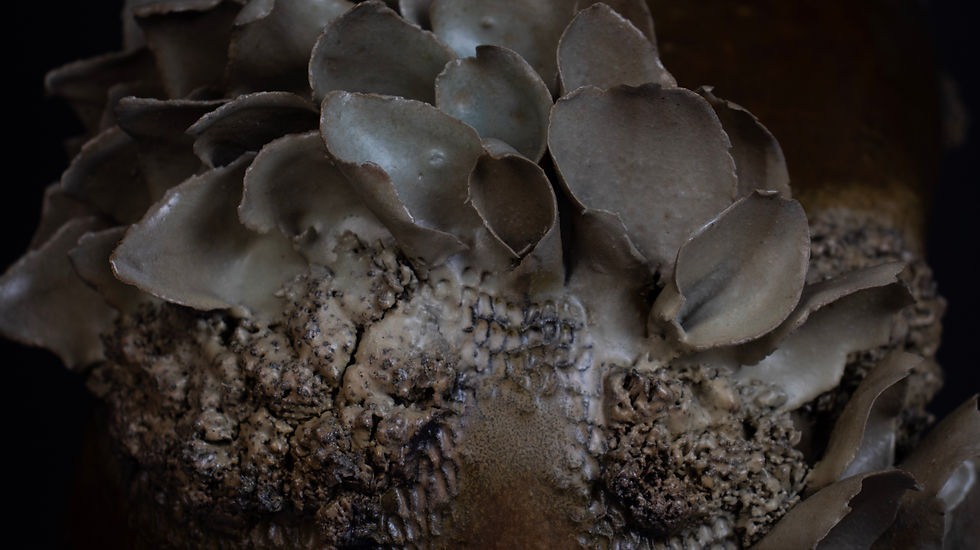 Dietrich_Madeleine_Experimention in Texture_detail 1.jpg