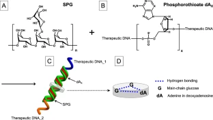 Antisense DNA cocktail therapy using short ß-1,3-glucan_oligonucleotide complexes_秦さん.webp