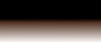 PL- IMAGE 1- BACKGROUND- WIX WEB- JPEG.jpg