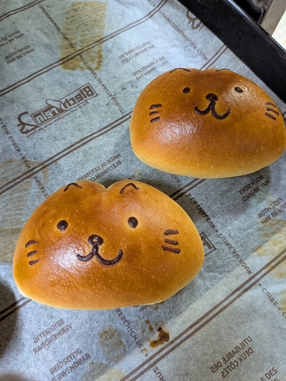 サルドゥバンの猫の顔を描いたパン